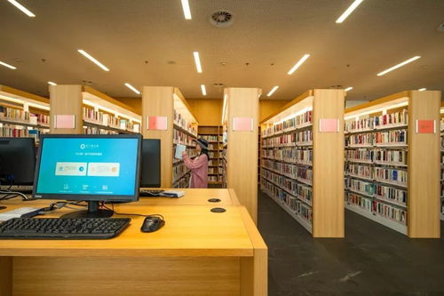 數字文化創意軟件開發 發車即“真香”的未來風向