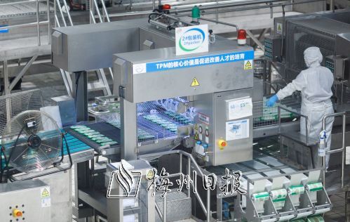 梅州日報全媒體采風團探訪伊利冰工廠，解碼高質量發展密碼
