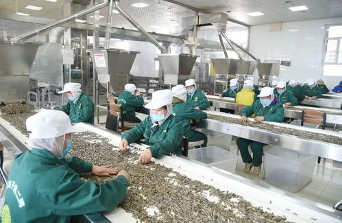 壯漢對照 塞上江南風光好 科技賦能品牌靚——全國少數民族地區報業社長總編巴彥淖爾行見聞