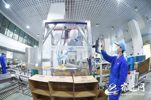 食品企業生產忙 匠心守味與高效并進